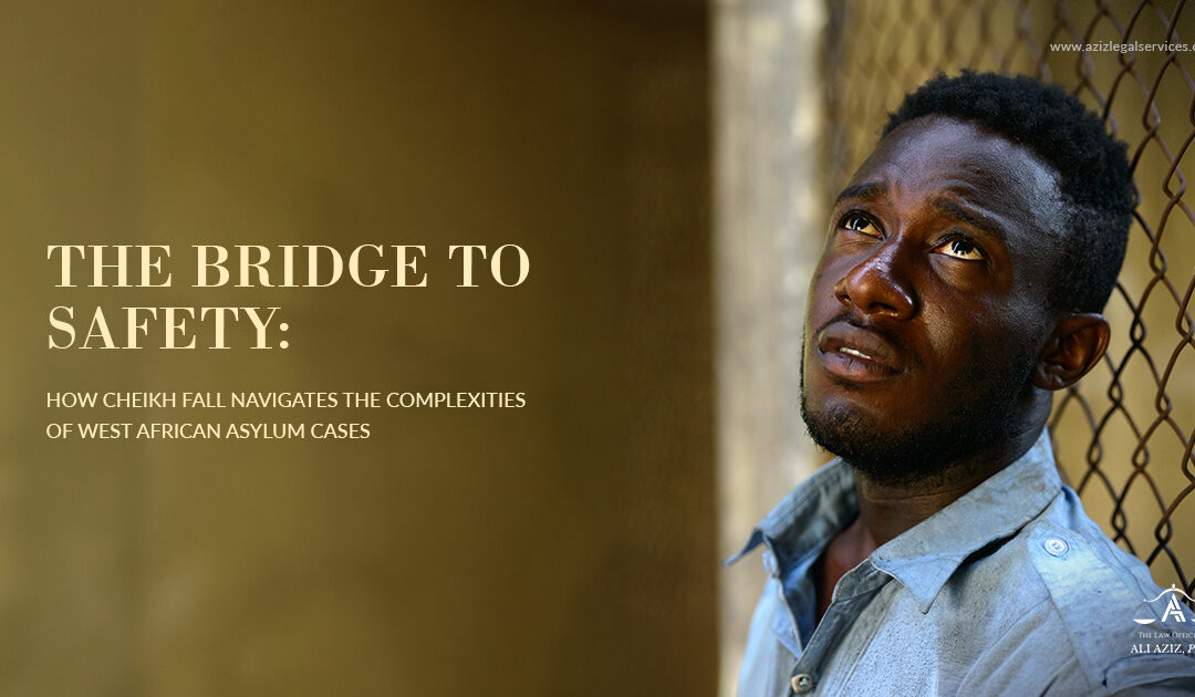 The Bridge to Safety: How Cheikh Fall Navigates the Complexities of West African Asylum Cases